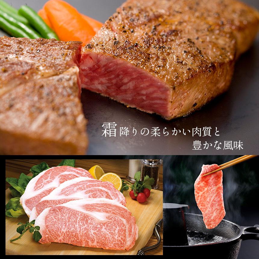 熊本 黒毛和牛 和王 サーロイン ステーキ 250g×4 国産 ブランド牛 冷凍 ギフト 贈答用 | くまもと黒毛和牛 | 02