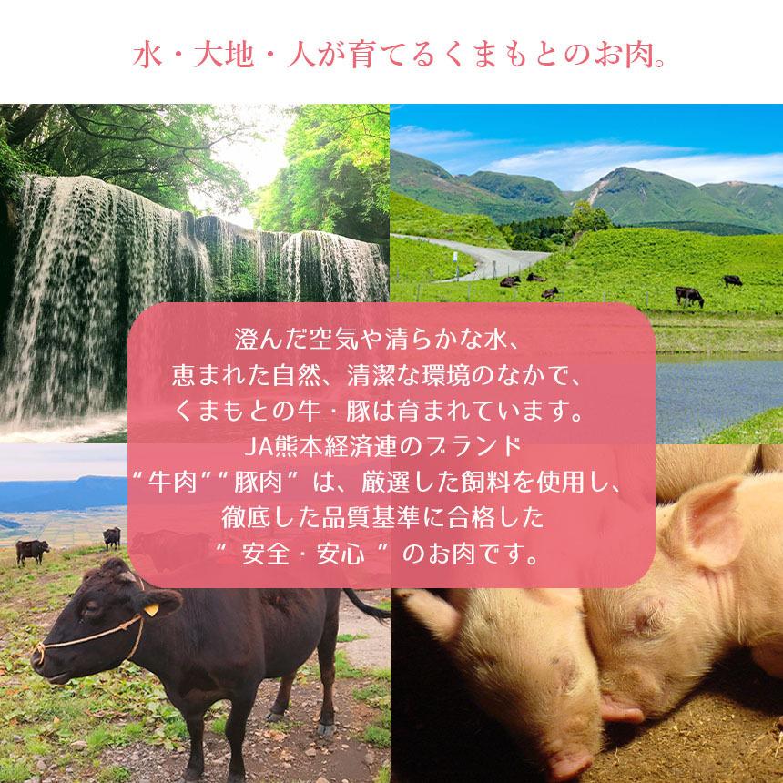豚肉 ロース しゃぶしゃぶ 800g（400g×2）国産 熊本県産 りんどうポーク ブランド豚 小分け 冷凍 |  | 06