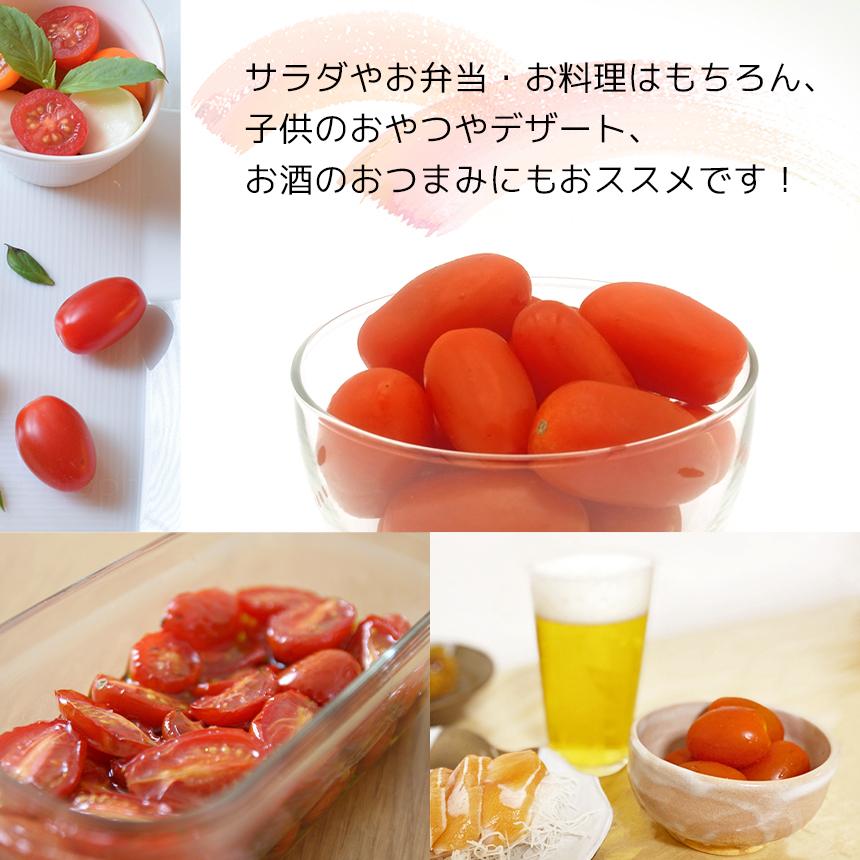 熊本県産 アンジェレ ミニトマト 1kg Yasai0001 Ja熊本経済連yahoo Shop 通販 Yahoo ショッピング