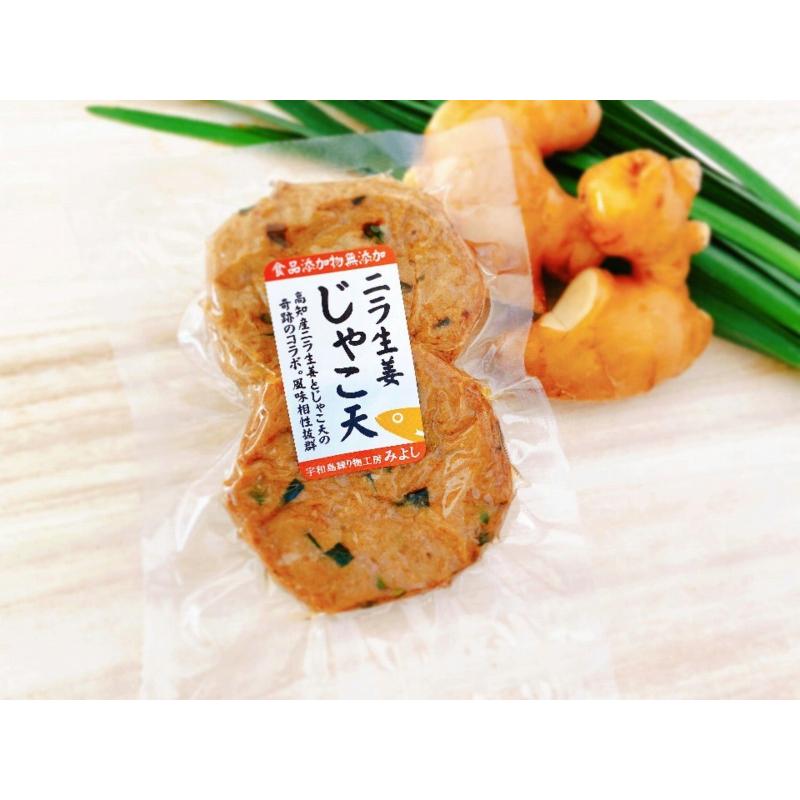 幸せセット 無添加じゃこ天 宇和島練り物工房みよし 贈答用ギフトセット |  | 12