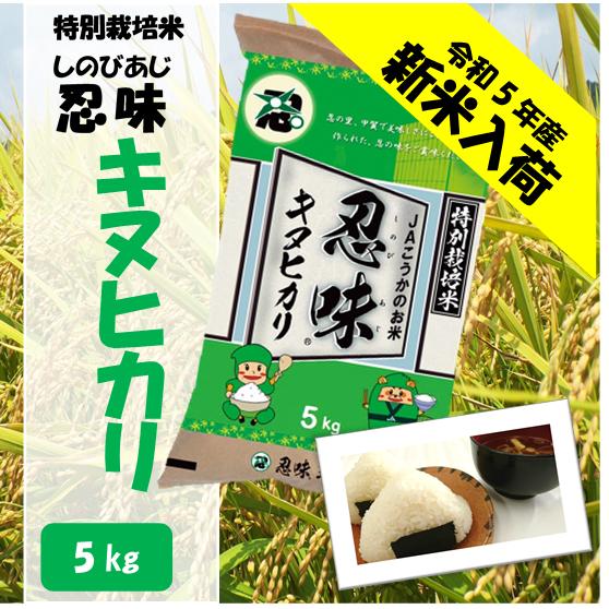 滋賀県産近江米　JAこうか　特別栽培米　忍味　キヌヒカリ5kg　お米　白米 : 9600054 : JAこうか花野果市Yahoo!店 - 通販 -  Yahoo!ショッピング