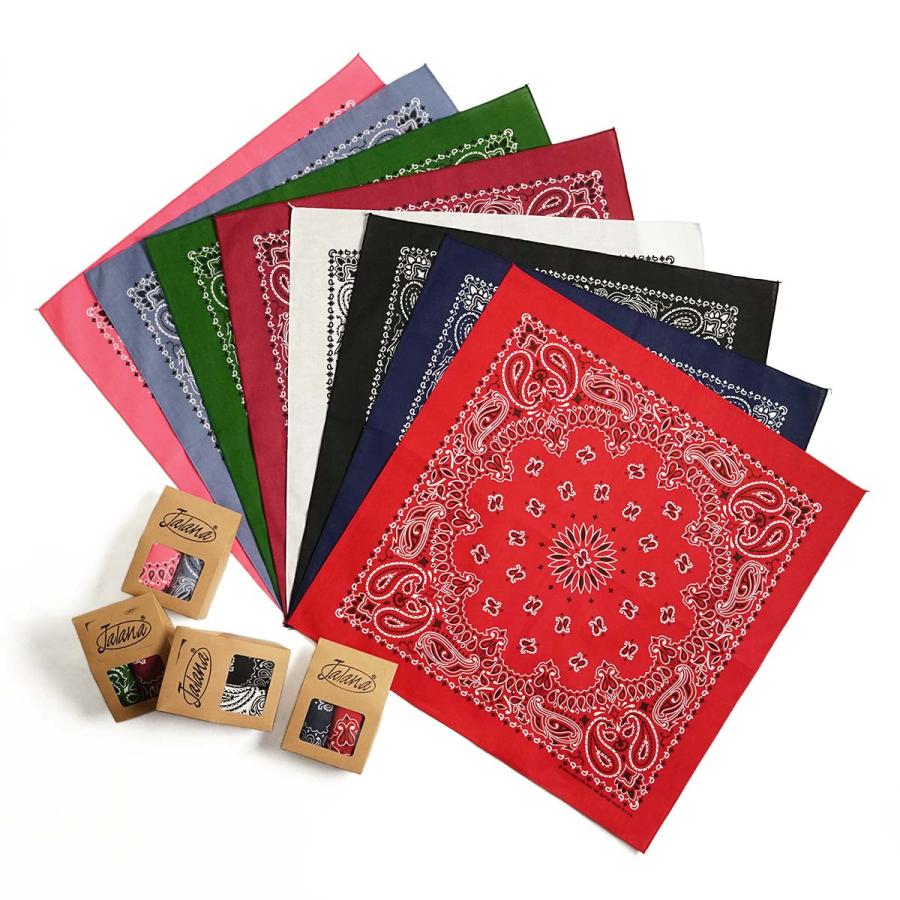 HAV-A-HANK（ハバハンク） トラディショナル ペイズリー バンダナ