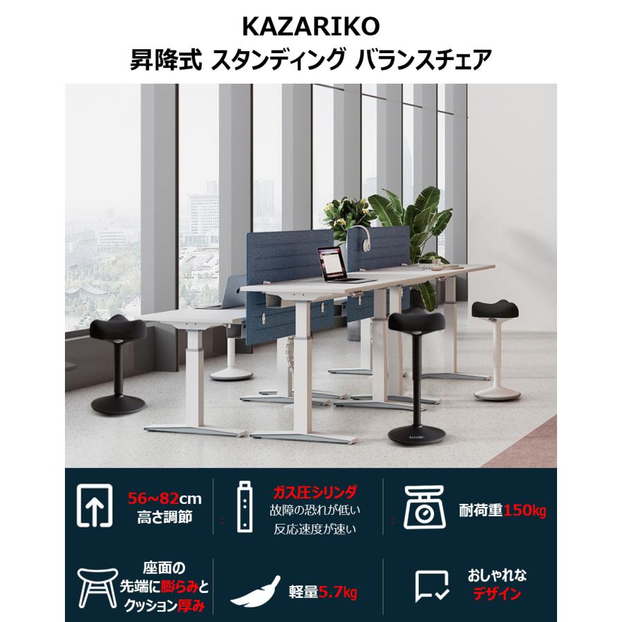 バランスチェアー EZ15-SNCH018_W.jpg