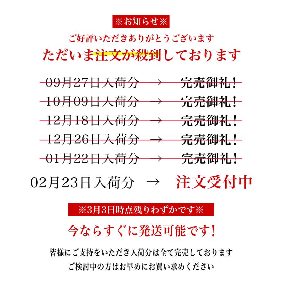 [ 洗車のプロ監修 ] BLEAR ブレア 洗車 ブロワー 最強 電動 エアダスター 充電式 コードレス USB TYPE-C 小型 軽量 静音 風量4段階 3種ノズル おすすめ 送料無料 |  | 01