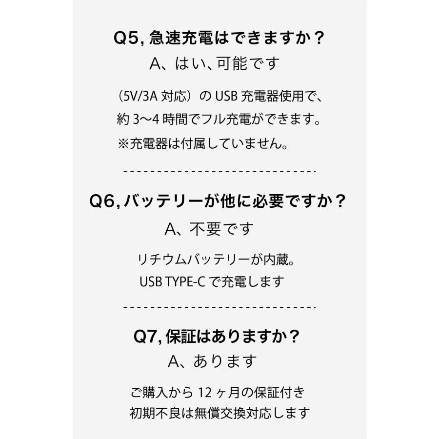 洗車 ブロワー 電動 エアダスター 強力 充電式 コードレス 小型 軽量