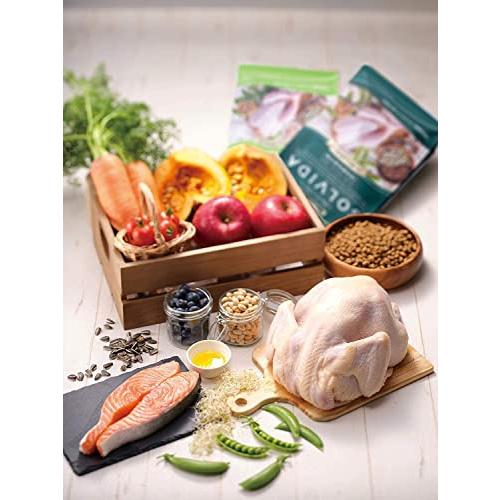 【ラスト1点】 ソルビダ グレインフリー チキン 室内飼育7歳以上用 5.8kg 【2195705720】(11322円)