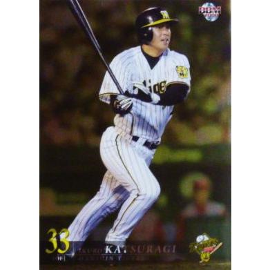 BBM 阪神タイガース 2008 レギュラーパラレル T063 葛城育郎 BBM 阪神タイガース 2008 レギュラーパラレル T063 葛城育郎
