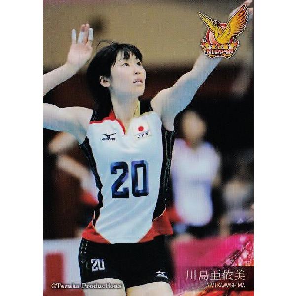 全日本女子バレーオフィシャルカード2013 「火の鳥NIPPON」 レギュラー