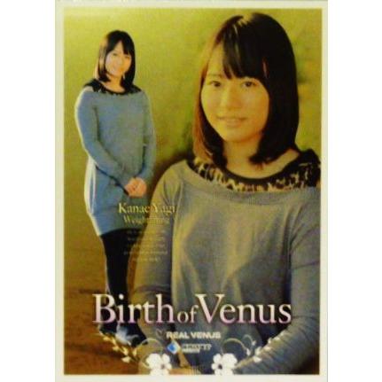 BBM リアルヴィーナス2014 インサート 【Birth of Venus】 BV6 八木