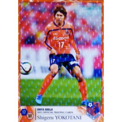 クラブ発行】2015 大宮アルディージャ オフィシャルカード レギュラー