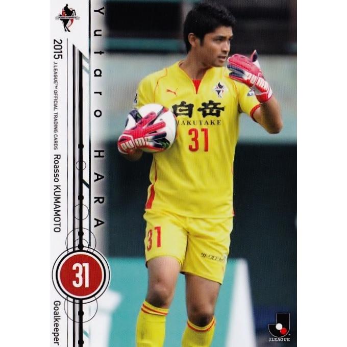2015 Jリーグオフィシャルカード レギュラー 243 原裕太郎 (ロアッソ 