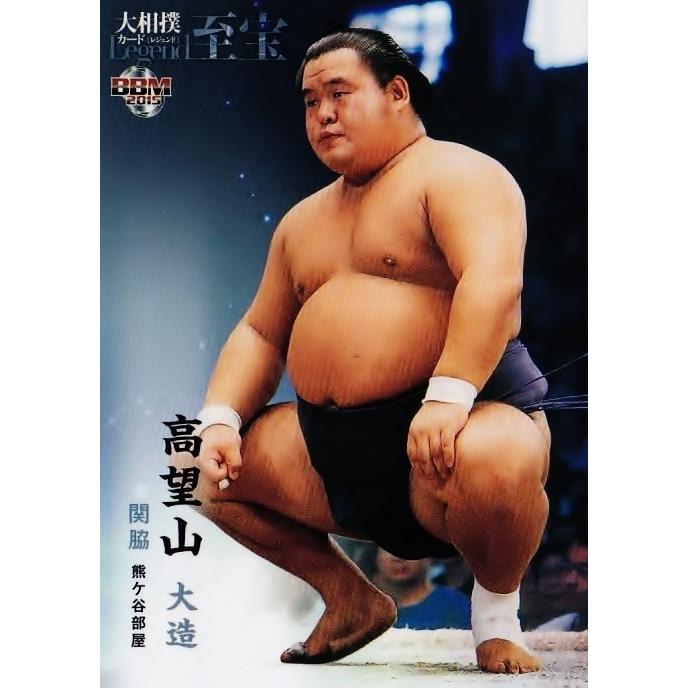 BBM2015 大相撲カードレジェンド「至宝」 レギュラー 27 関脇 高望山