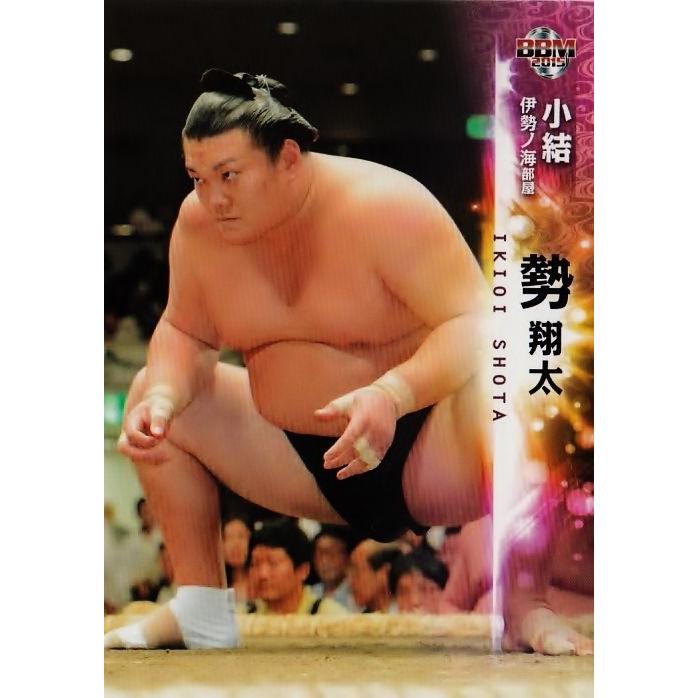 BBM 大相撲カード 2015 レギュラー 10 勢 翔太 : スポーツカード