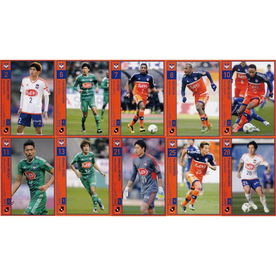 アルビレックス新潟 16 Jリーグオフィシャルカード レギュラー チームコンプリートセット 全10種 16joc Tcs11 スポーツカード ジャンバラヤ 通販 Yahoo ショッピング