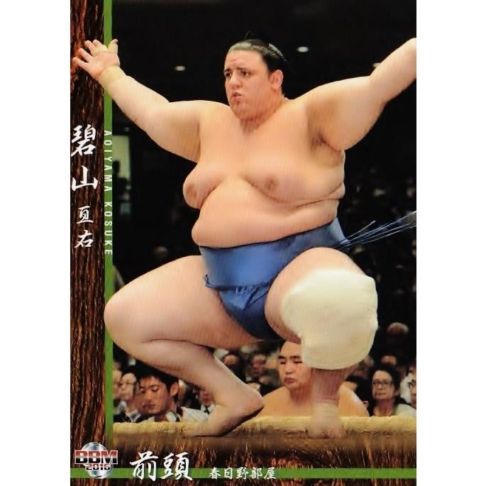 碧山　プレミアムカード BBM 大相撲カード 2016 レギュラー 14 碧山 亘右 : スポーツカード