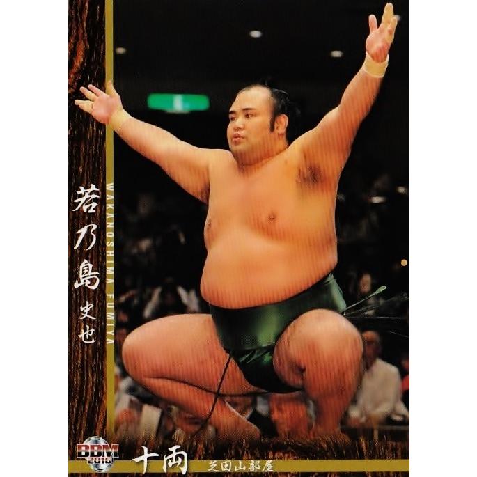 BBM 大相撲カード 2016 レギュラー 57 若乃島 史也 : スポーツカード
