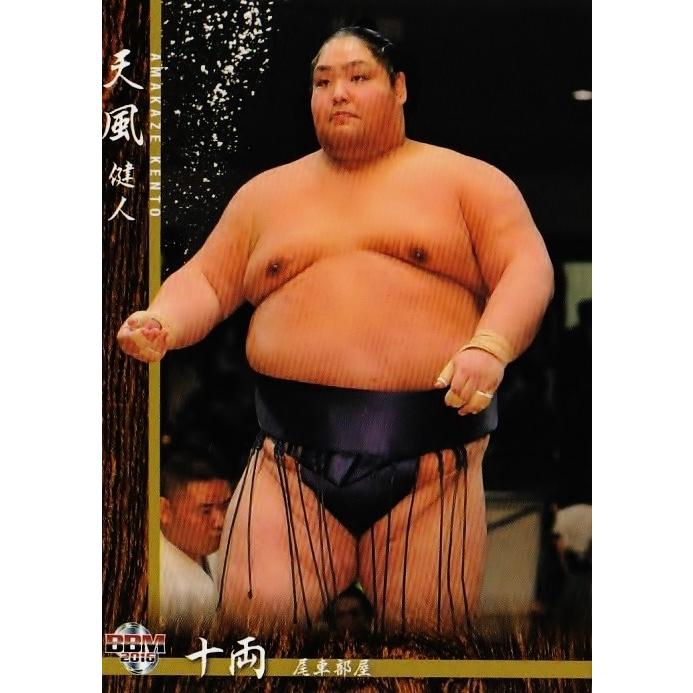 BBM 大相撲カード 2016 レギュラー 64 天風 健人 : スポーツカード