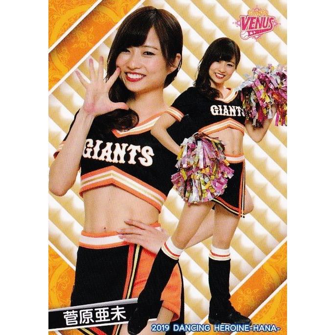 64 【菅原亜未 (巨人/Venus)】BBM プロ野球チアリーダーカード2019 -華