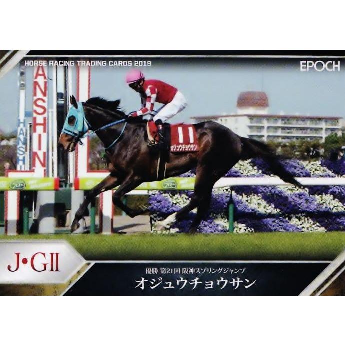 オジュウチョウサン EPOCH ホースレーシングカード トレーディング