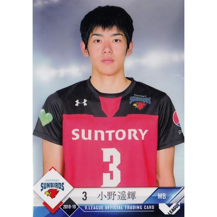3 【小野遥輝/サントリーサンバーズ】2018-19 V・プレミアリーグ男子