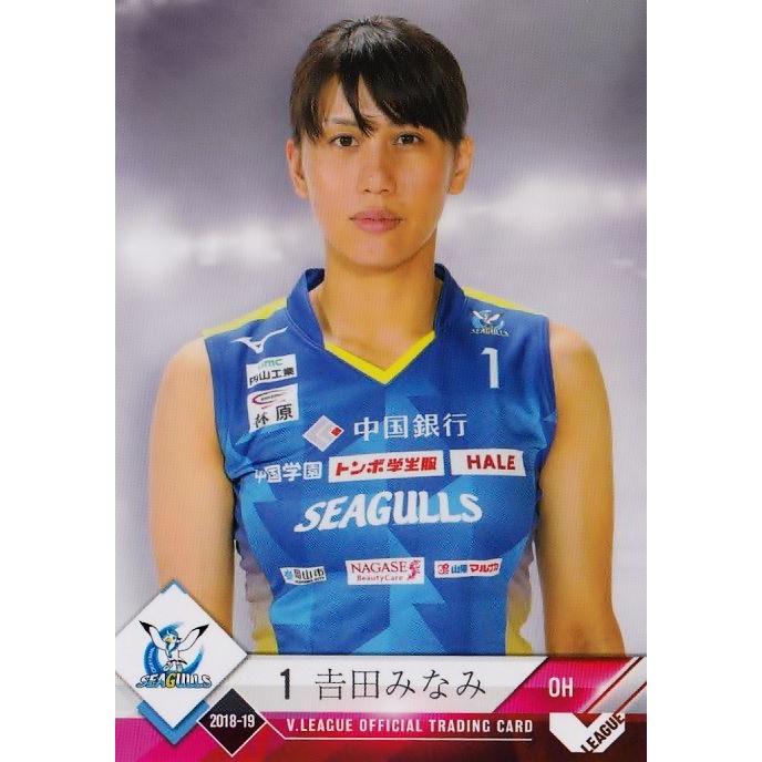 1 【吉田みなみ/岡山シーガルズ】2018-19V・プレミアリーグ女子公式