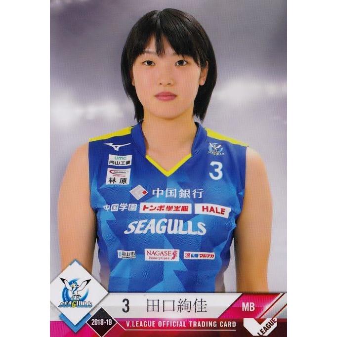 3 【田口絢佳/岡山シーガルズ】2018-19V・プレミアリーグ女子公式