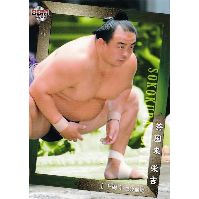 59 【蒼国来 栄吉】BBM2020 大相撲カード レギュラー : スポーツカード