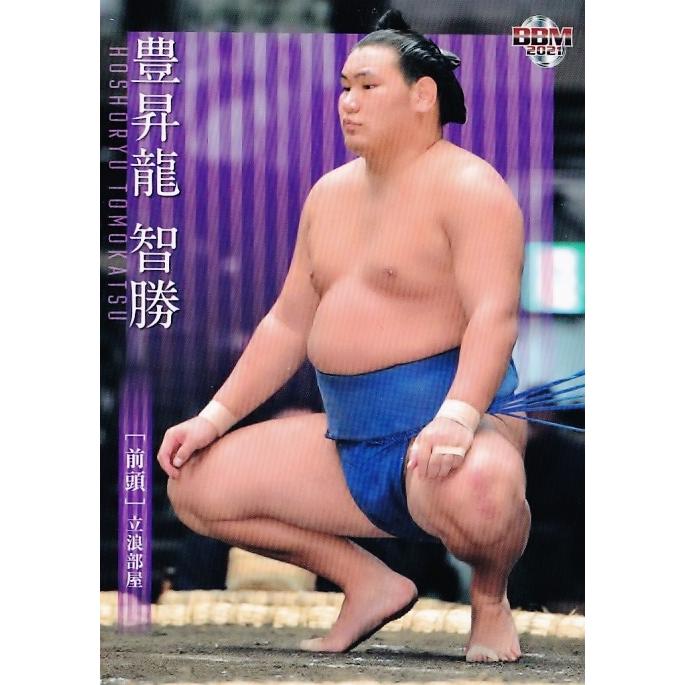 34 【豊昇龍 智勝】BBM2021 大相撲カード レギュラー : スポーツカード
