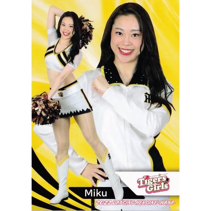 2022 BBM プロ野球チアリーダーカード 華 未開封BOX 【公式通販】