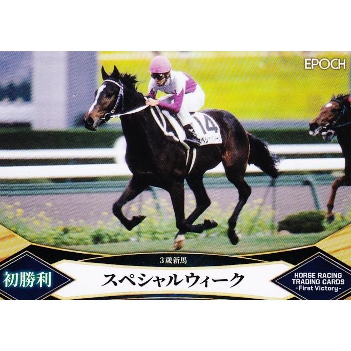 競馬　EPOCH HORSE RACING スペシャルウィーク 競馬 EPOCH HORSE RACING スペシャルウィーク 【公式通販】 その他