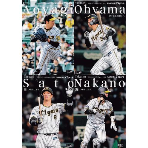 阪神タイガース フルセット