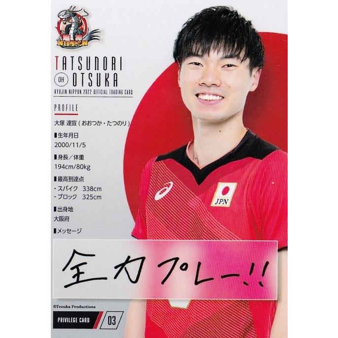 NV03 【大塚達宣/石川祐希】2022 龍神NIPPON 全日本男子バレーボール オフィシャルカード プロモーションカード : 22rjn-nv3  : スポーツカード ジャンバラヤ - 通販 - Yahoo!ショッピング