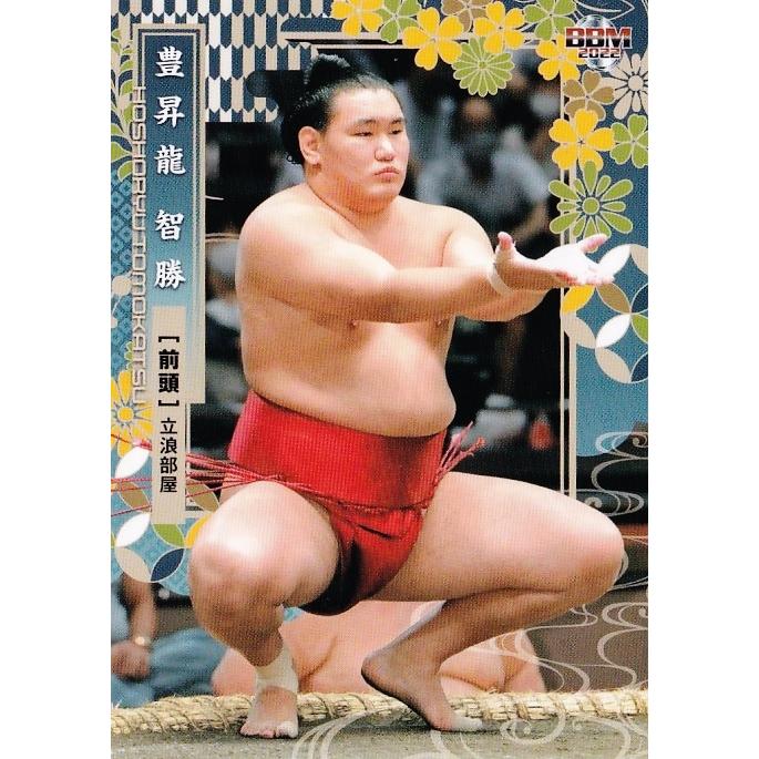 17 【豊昇龍 智勝】BBM2022 大相撲カード レギュラー : スポーツカード