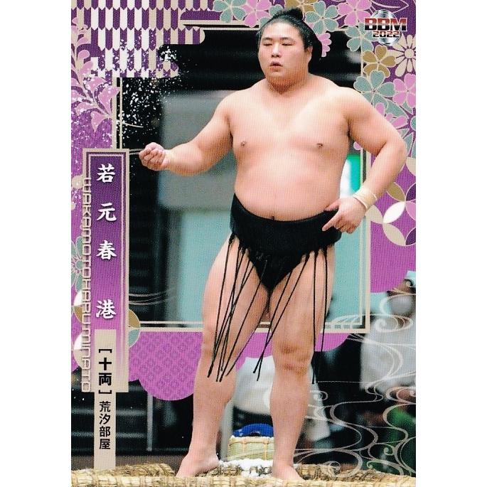 43 【若元春 港】BBM2022 大相撲カード レギュラー : スポーツカード