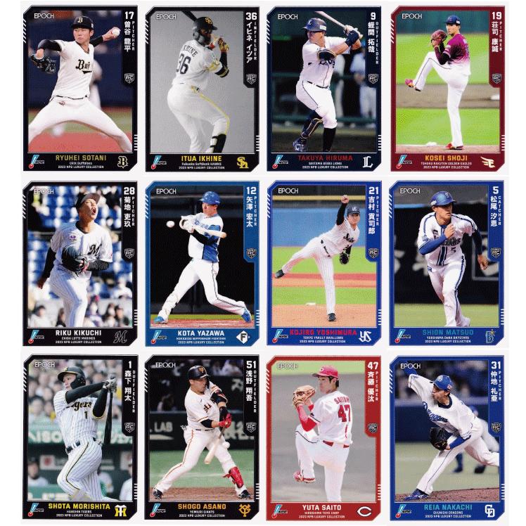 98カルビーJリーグカードレギュラーコンプリートセット193枚+24枚