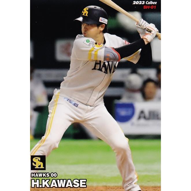 NPB木製バット（ソフトバンク 00 川瀬晃） 未使用 【公式通販】