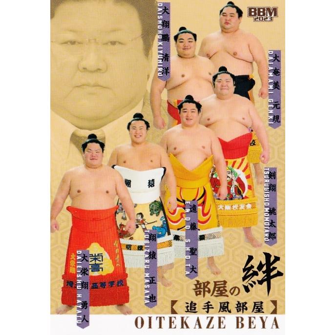 48 【追手風部屋(大栄翔/翔猿/遠藤/大翔鵬/剣翔/大奄美)】BBM2023