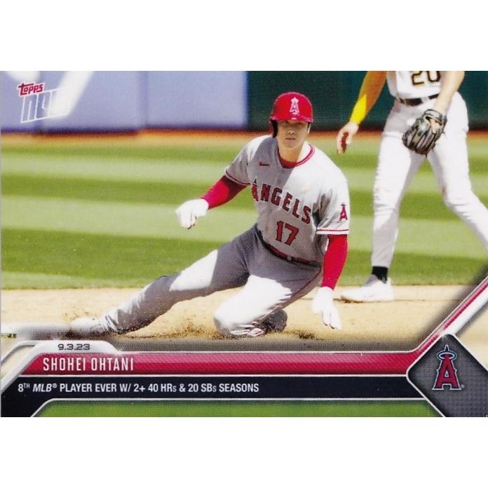 大谷翔平 北海道日本ハムファイターズ ルーキーイヤー 直筆サイン