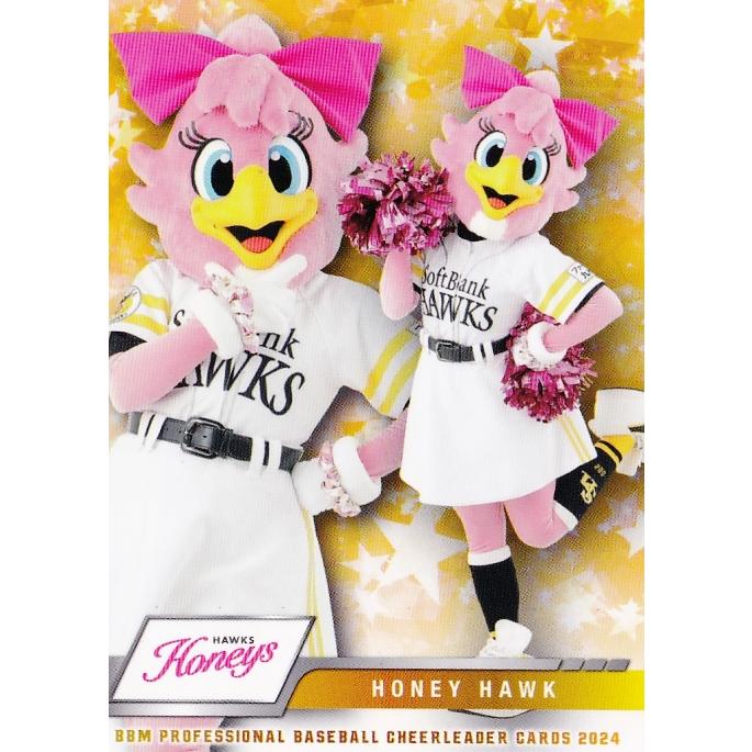 H01 【ハニーホーク (ソフトバンク/Honeys)】BBM プロ野球チアリーダー
