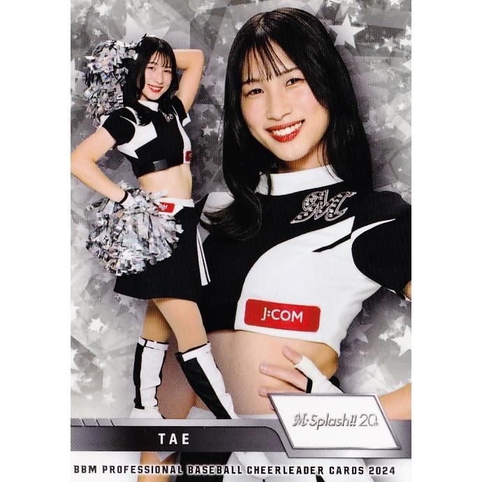 M16 【TAE (ロッテ/M☆Splash!!)】BBM プロ野球チアリーダーカード2024