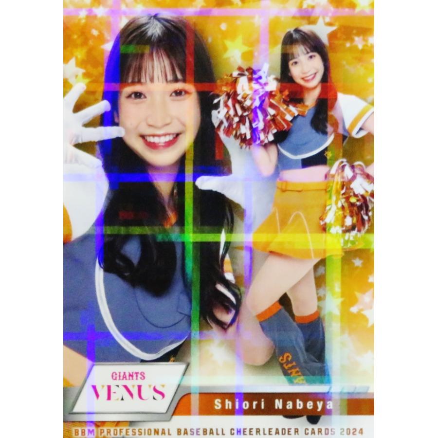 V11 【鍋谷詩織 (巨人/VENUS)】BBM プロ野球チアリーダーカード2024