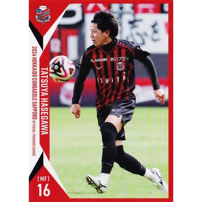 13 【長谷川竜也】[クラブ発行]2024 北海道コンサドーレ札幌