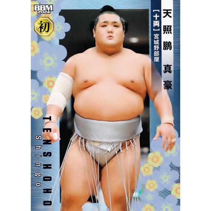 62 【天照鵬 真豪(初)】BBM2024 大相撲カード レギュラー : スポーツ