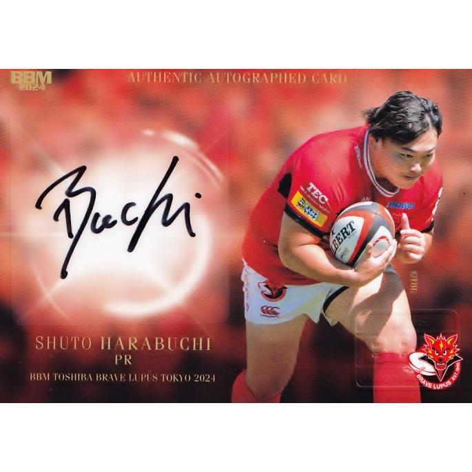 原渕修人(ROOKIE)】2024 BBM 東芝ブレイブルーパス東京 優勝記念セット