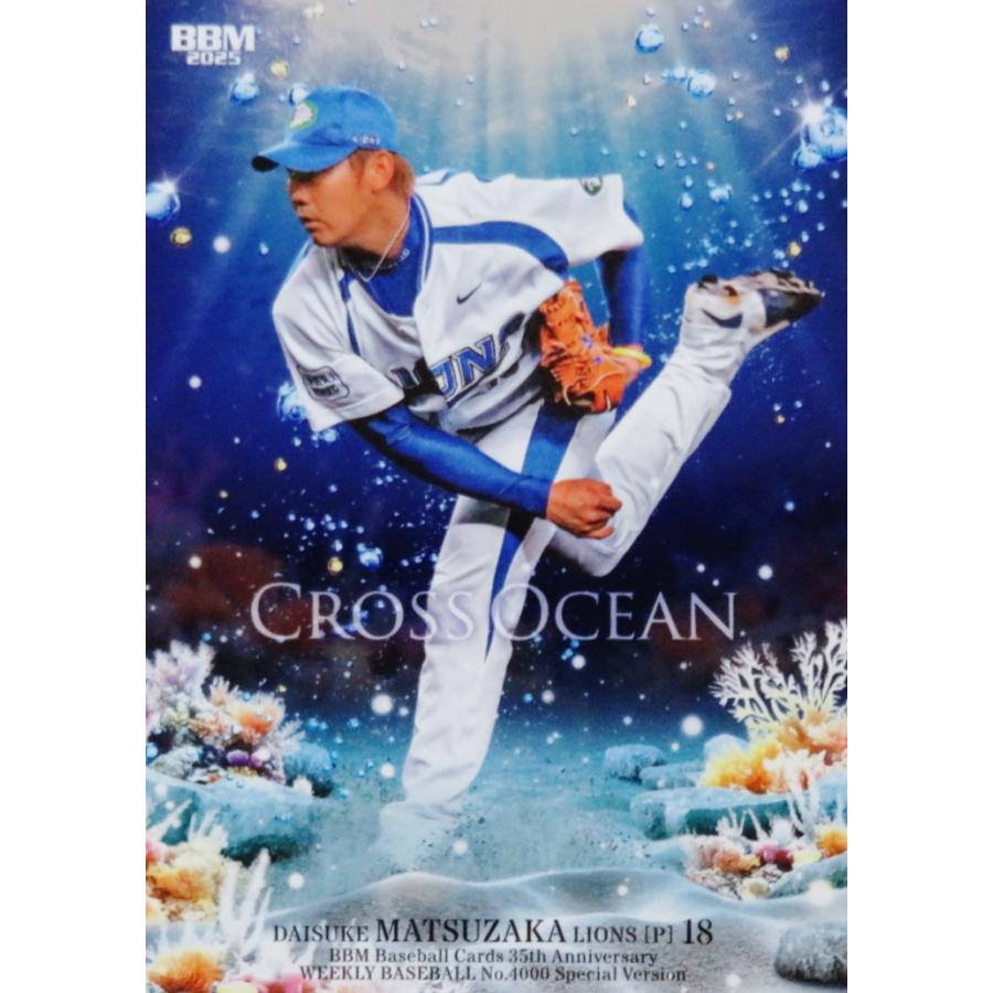 【希少?】プロ野球カード　西武ライオンズ　91年 希少?】プロ野球カード 西武ライオンズ 91年