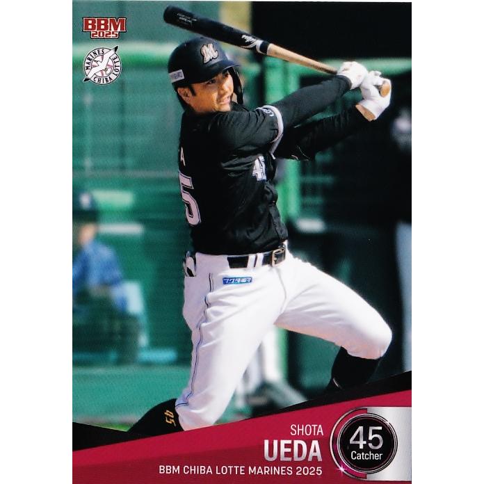 千葉ロッテマリーンズ 植田将太 ユニフォーム NPB ブラサマ 【公式通販】