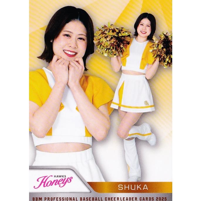H06 【秋花 (ソフトバンク/Honeys)】BBM プロ野球チアリーダーカード 