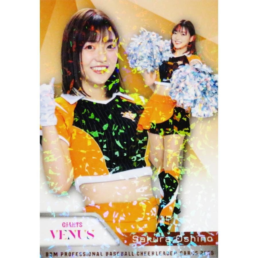 V05 【押野さくら (巨人/VENUS)】BBM プロ野球チアリーダーカード2025