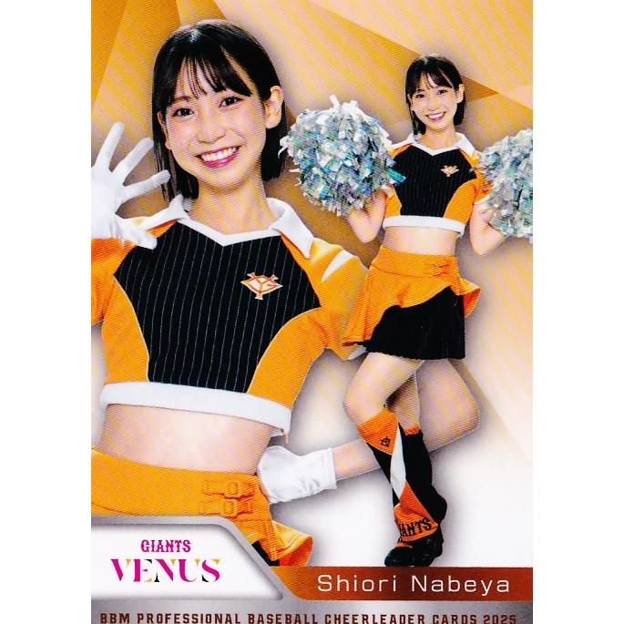 V10 【鍋谷詩織 (巨人/VENUS)】BBM プロ野球チアリーダーカード2025