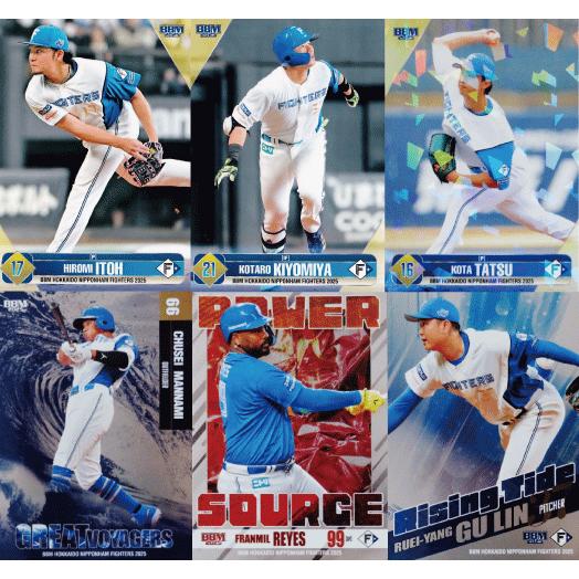 2025BBM 492枚コンプセット 広島東洋カープ】BBM2025 ルーキーエディション [チーム別